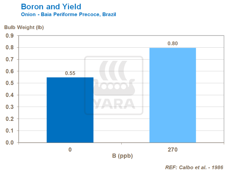 Lien entre bore et rendement