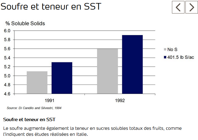 Soufre augmenterait la teneur en sucres solubles des fruits