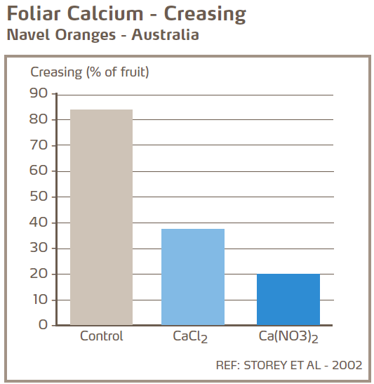 Applications foliaires de calcium et déchirements des écorces - Oranges