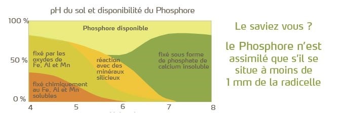 ph du sol et disponibilité phosphore