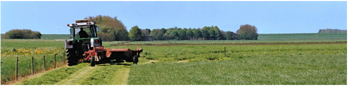 Tracteur dans un champ
