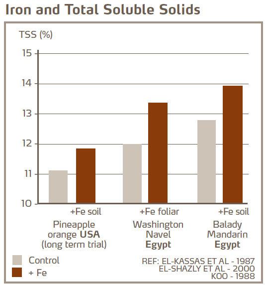 Fer et sucres solubles totaux 