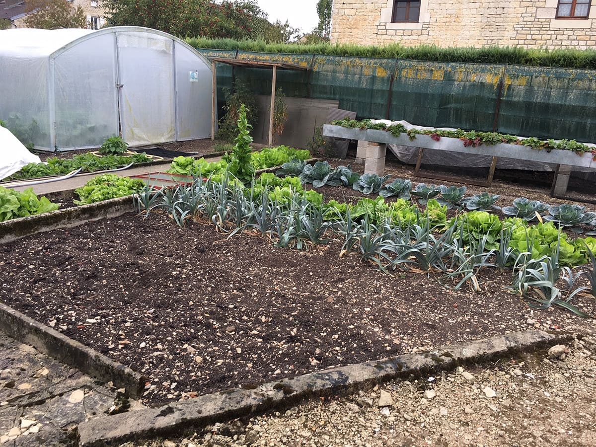 Un potager de fruits/légumes bio