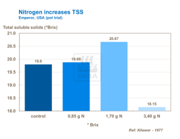 Azote augmente les solides solubles totaux