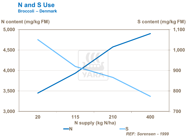 Utilisation de l'azote et du soufre - Brocoli