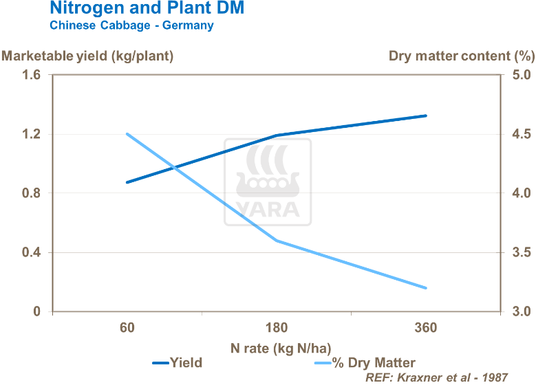Azote et matière sèche - Chou chinois 