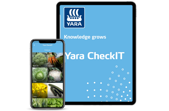 Application Yara CheckIT