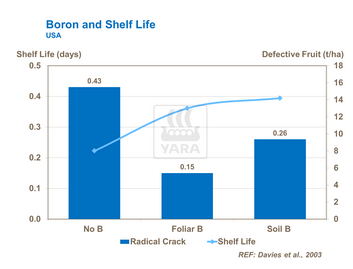Le bore limite apparition de fendillement