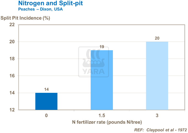 Azote et éclatement de pêches