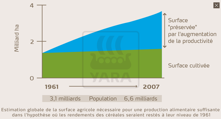 Estimation de la surface agricole nécessaire pour production alimentaire suffisante