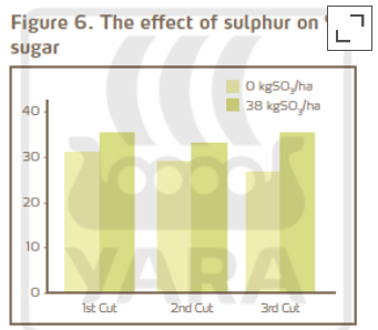 Graphique effet soufre sur teneur en sucre herbe
