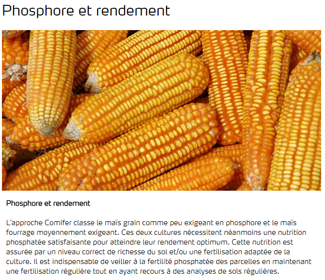 Phosphore et rendement