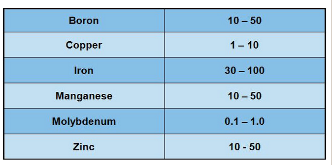 Tableau résumant apport de chez oligo-élément