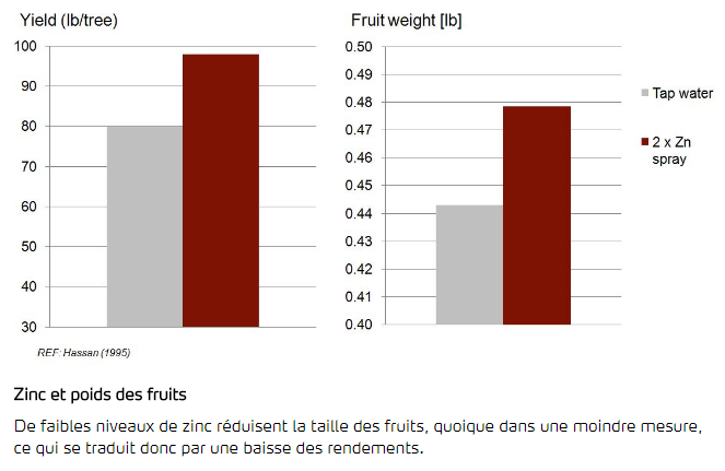 Zinc et poids des fruits 