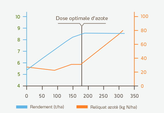Graphique sur la dose optimale d'azote