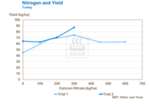 Graphique nutriment azote pour les tomates