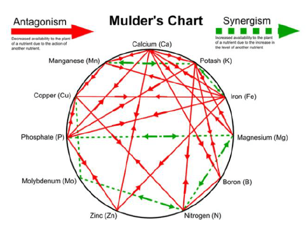 mulder's chart yara france