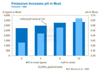 Liens entre potassium et pH