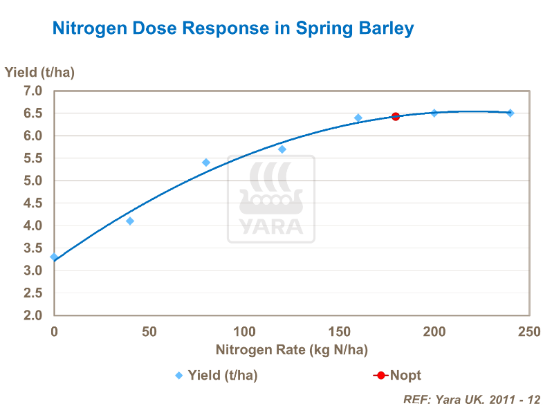 Effet azote sur orge d'été