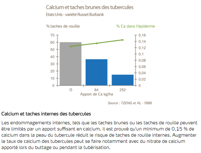 Calcium et taches brunes des tubercules