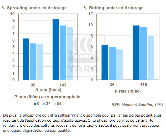 Équilibre phosphore/azote et qualité