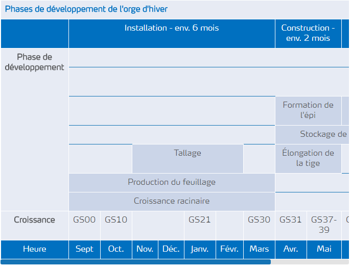 phases de développement de l'orge d'hiver