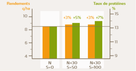 Comparaison du rendement et du taux de protéines pour différentes stratégies de fertilisation.